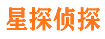 东宝侦探